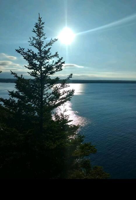 Family Friendly Cottage ☆Walking Distance To Beach Lion's Head Luaran gambar